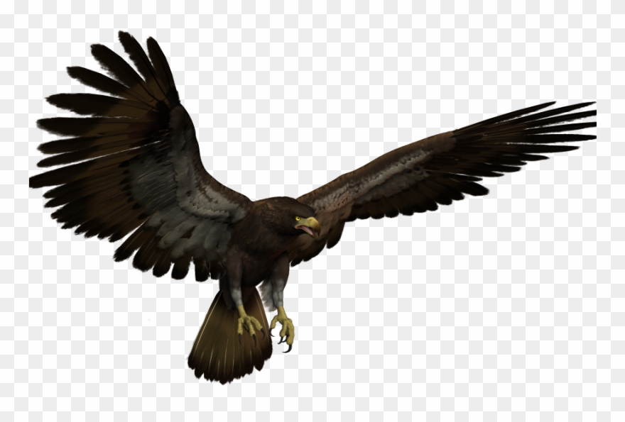Black Eagle Flying Clipart