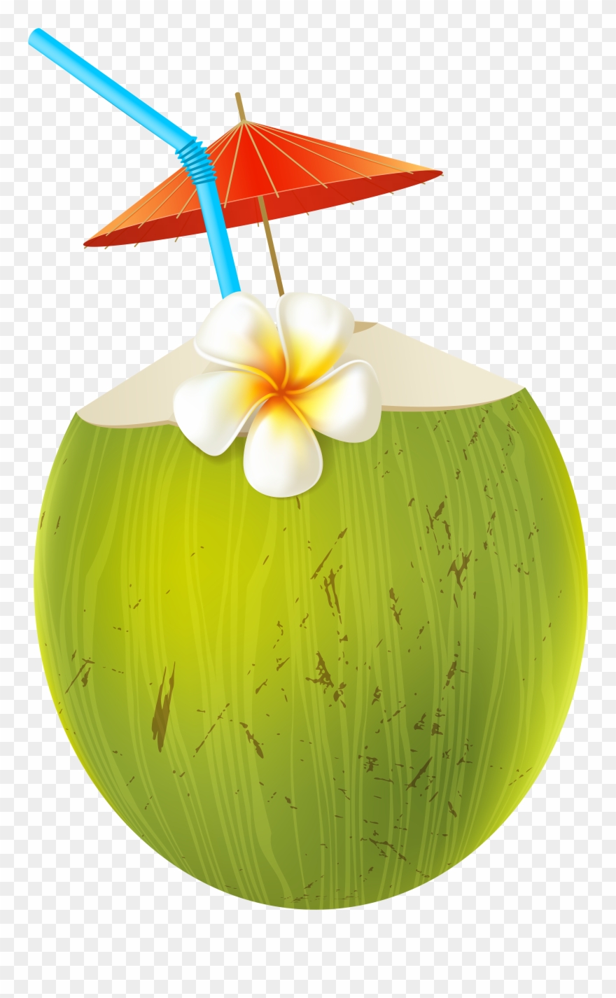 Pin By Emma Henry On Bullet Journal - Cartoon Green Coconut Png Clipart