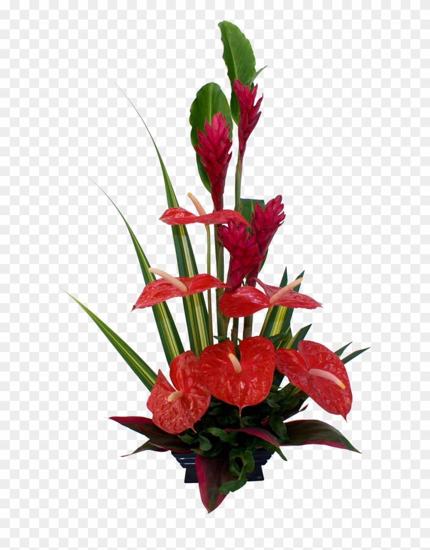Red Tropical Flower Arrangement - Anthurium Flower Arrangements Ideas Clipart
