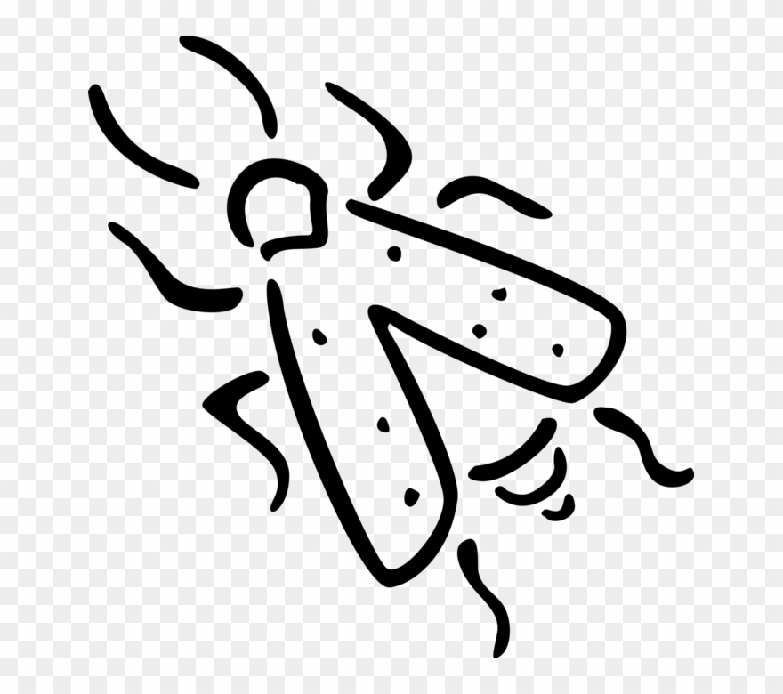 Vector Illustration Of Housefly Insect Fly Bug - Line Art Clipart