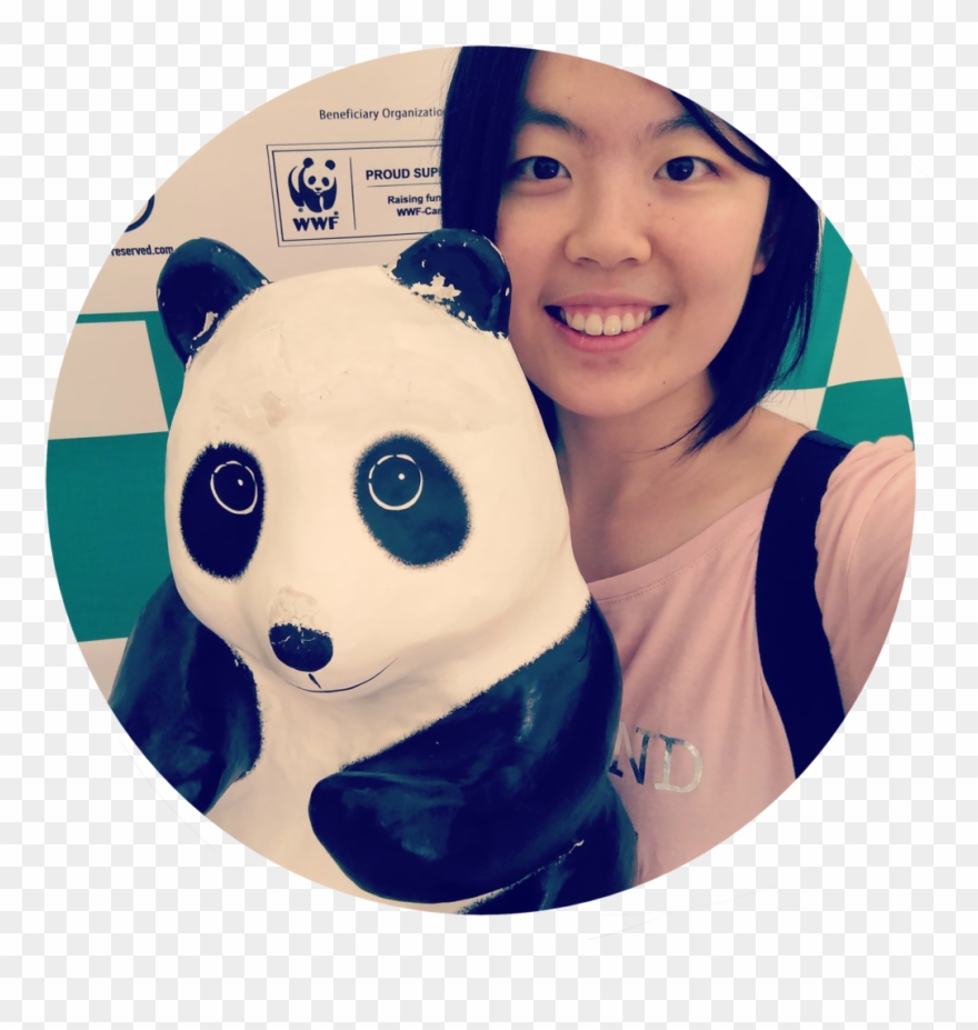 You Want To Level Up Your Tarot - Panda Clipart