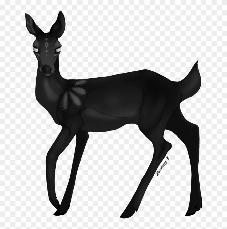 Granddaughter Of Rae And Noir, Reine & Ráðgeirr Great - Roe Deer Clipart