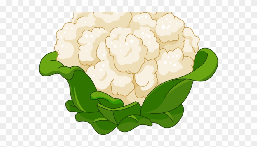 Hydrangea Clipart Cartoon - Cauliflower Cartoon - Png Download