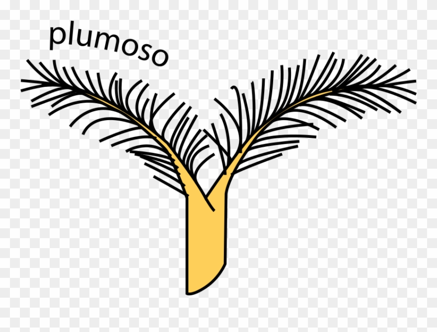 Style And Stigma Shape In Color-12 Feathery Clipart