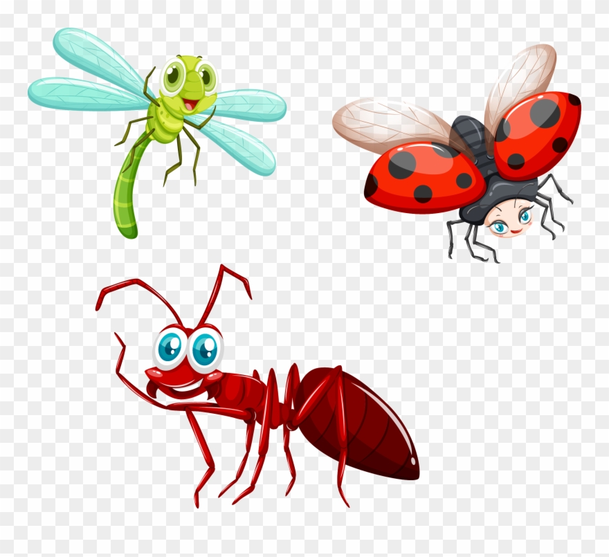 Fly Clip Art - Black Ant Face - Png Download