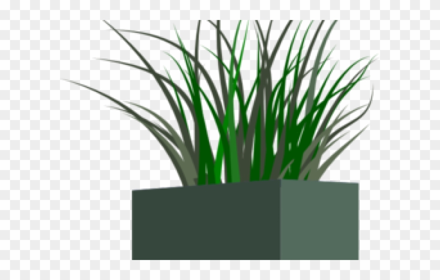 Pansy Clipart Planter - Planter Box Png Transparent Png