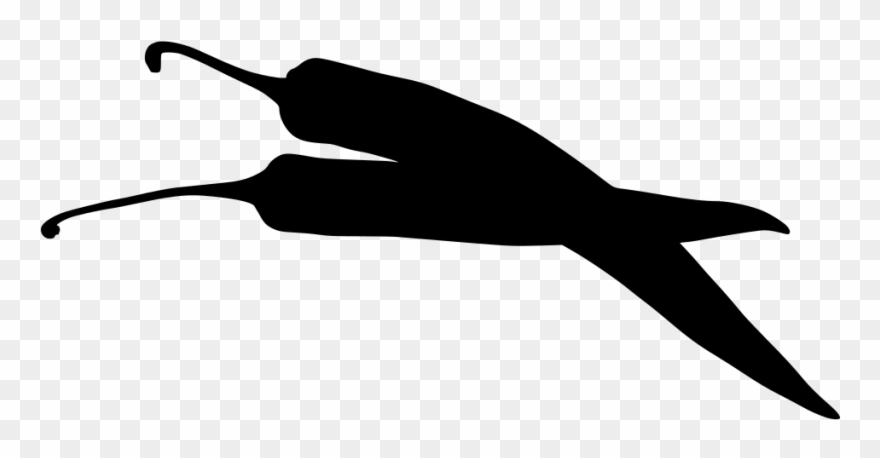 Download Png - Chilli Png Clipart