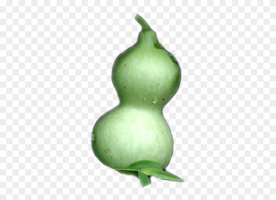 601 X 600 1 - Gourd Clipart