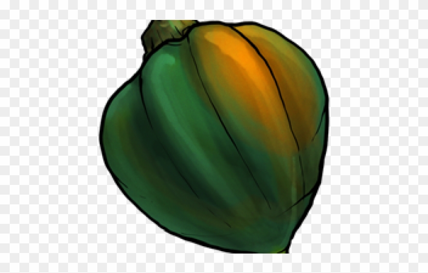 Zucchini Clipart Gourd - Acorn Squash - Png Download