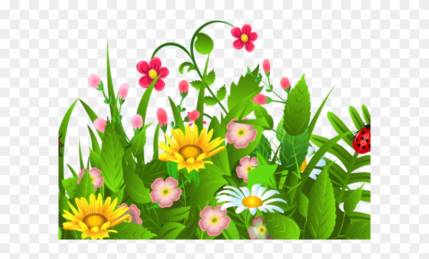 Flowers Borders Clipart Sampaguita - Garden Png Transparent Png