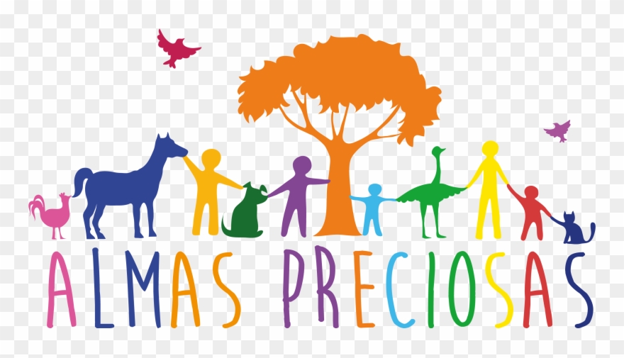 New Program Of Misericordia María Tv Clipart