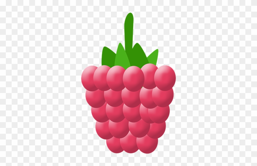 Seedless Fruit Clipart