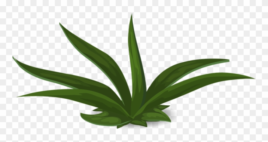 Grün, Pflanzen, Grünen, Lau - Plants Clipart