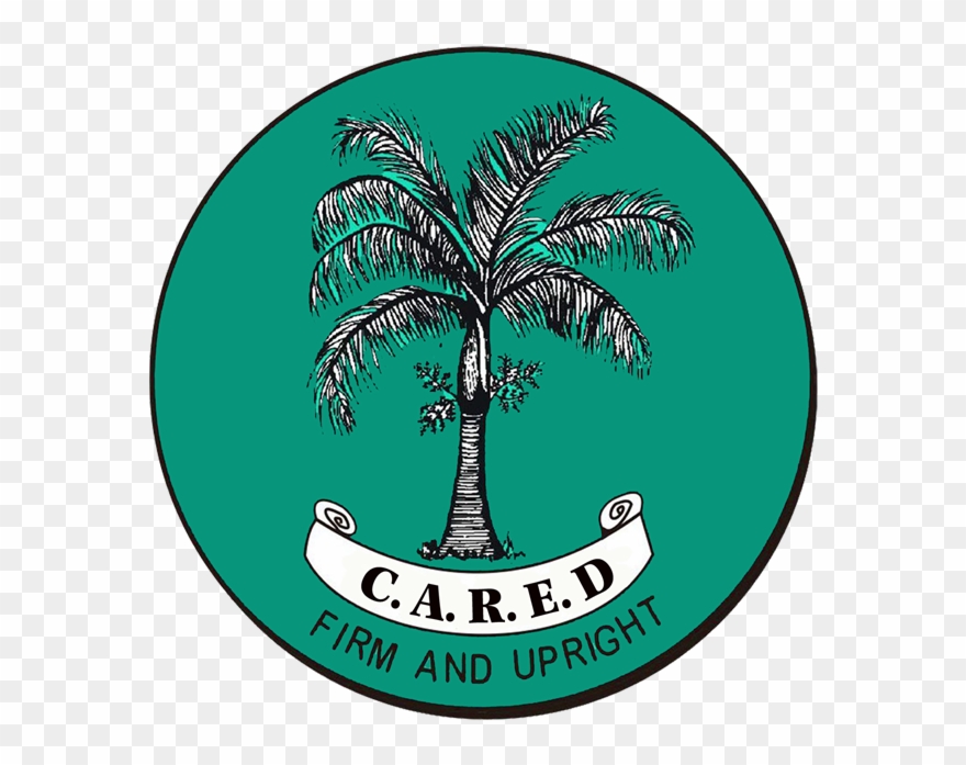Fics Announces Launch Of Cared Subsidiary - Fics St Lucia Logo Clipart
