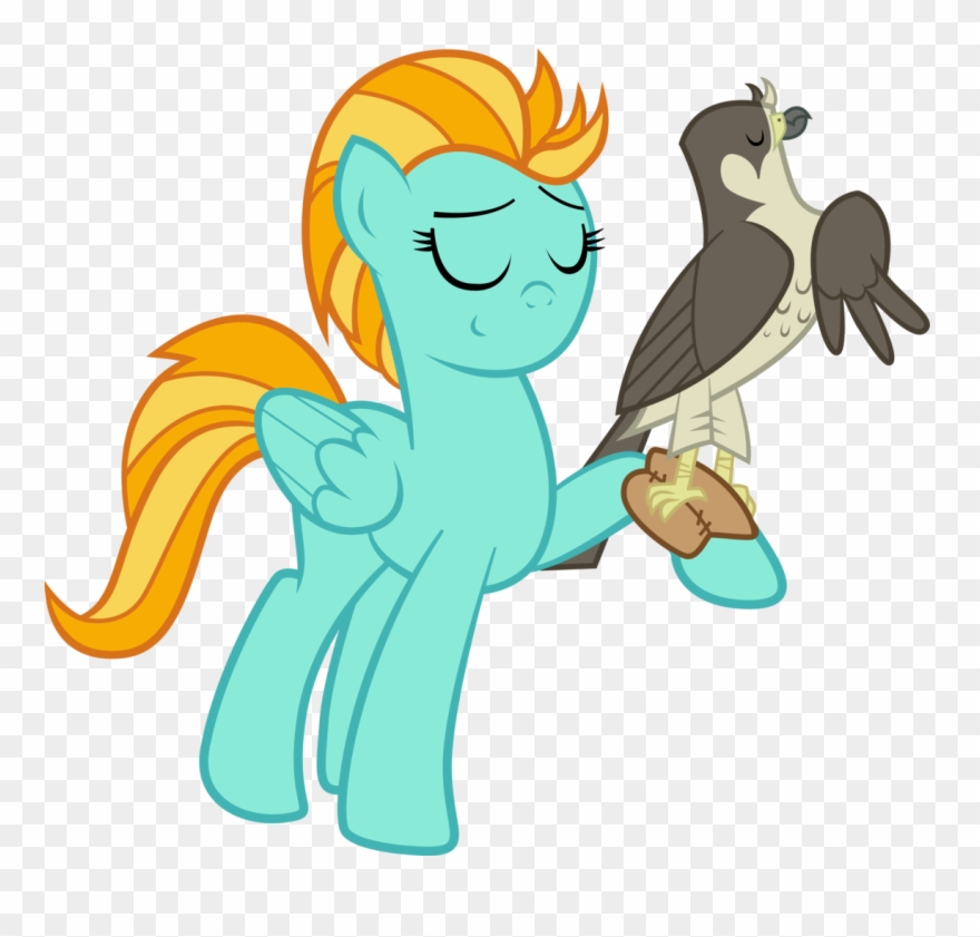 Peregrine Falcon Clipart Falcon Eyes - Lightning Dust Is Best Pony - Png Download