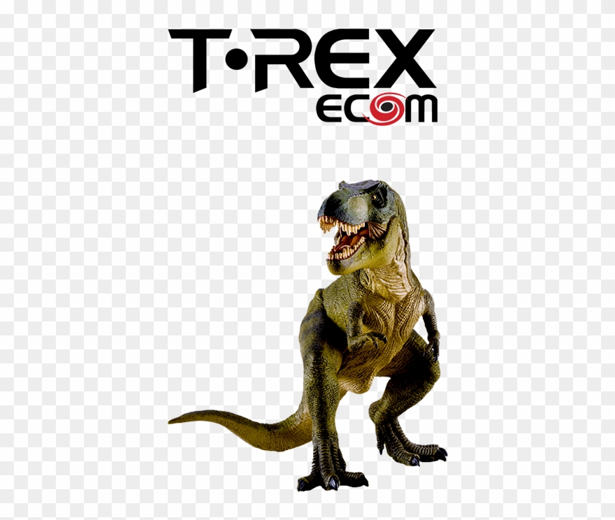 Trexecom Everything Ecommerce E Commerce Software And - Tyrannosaurus Clipart