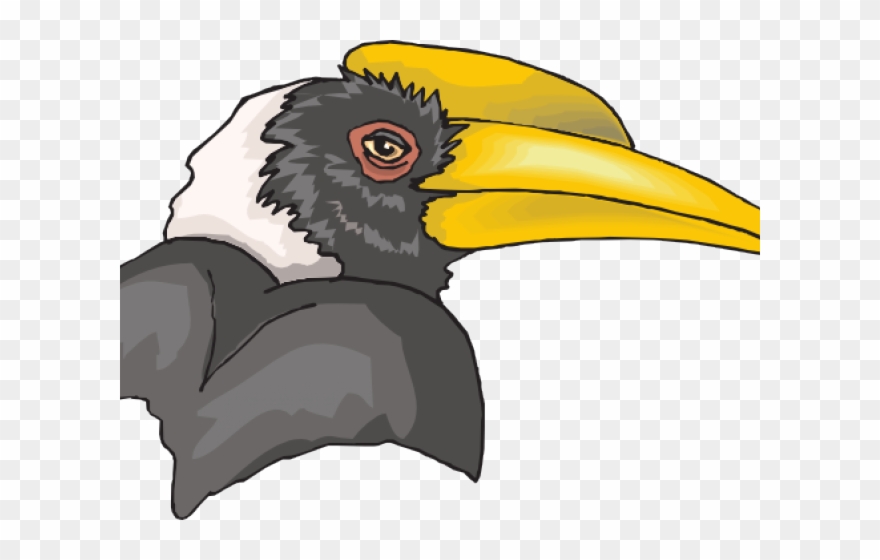 Hornbill Clipart Rhinoceros Hornbill - Hornbill - Png Download