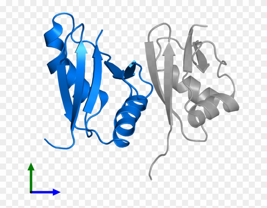 <div Class='caption-body'>pdb Entry 2kfk Contains 1 - Illustration Clipart