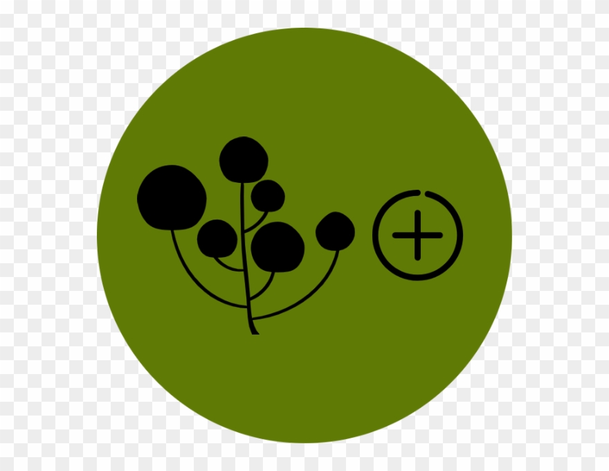 High Bioavailability - Circle Clipart