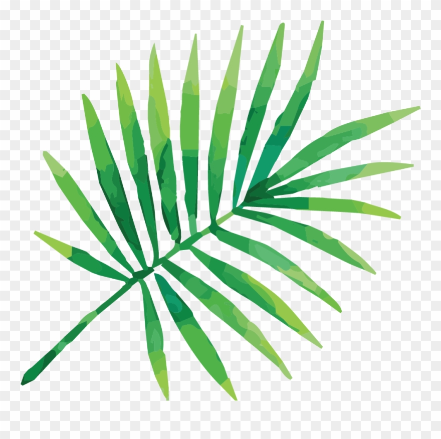 Cropped Bartboard 1 - Watercolor Tropical Leaves Vectors Clipart