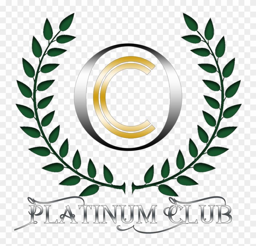 2018 Bronze Stevie Award Clipart