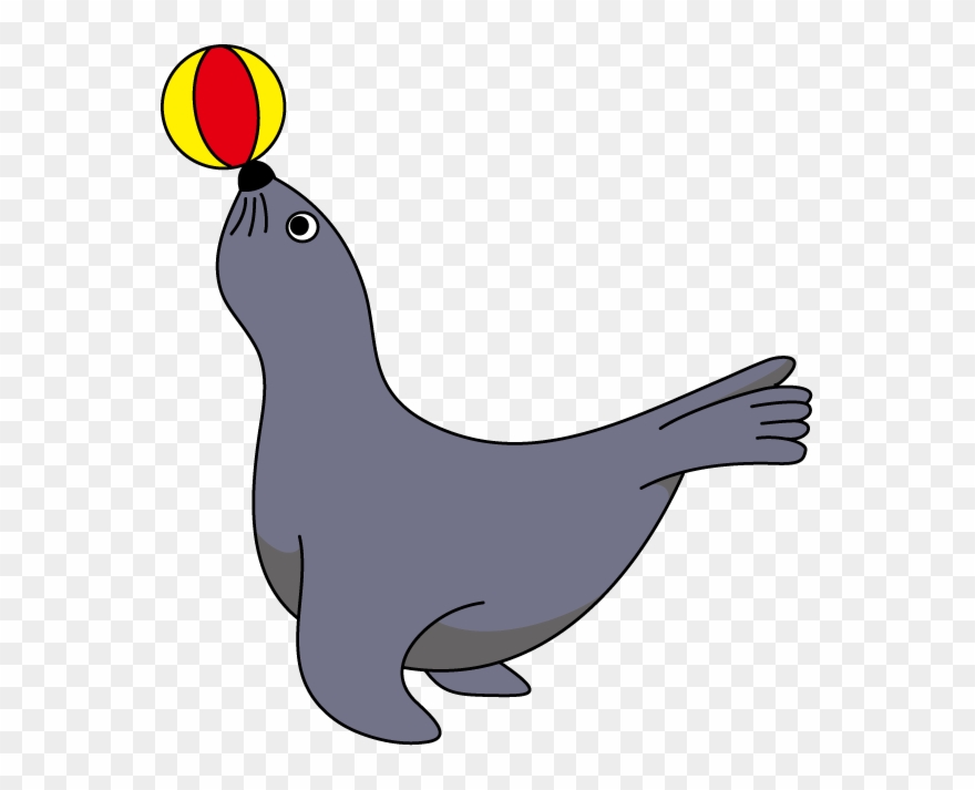 アシカ イラスト Clipart