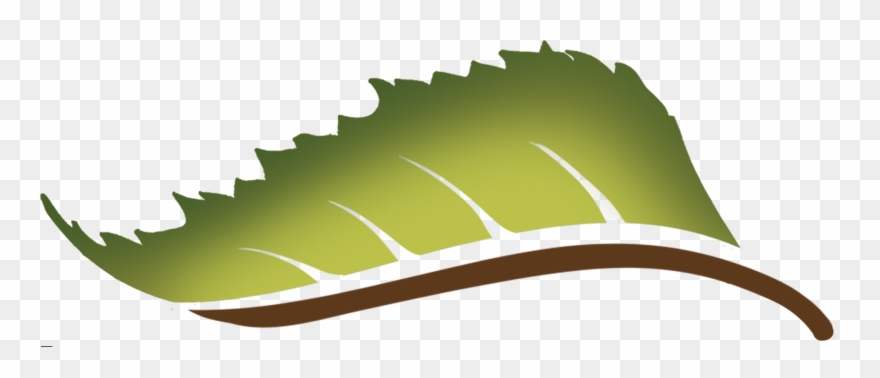 Isaiah 60 - - Tree Clipart