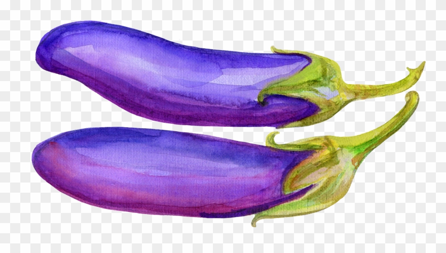 Svg Freeuse Library Vegetable Illustration Hand Painted - Eggplant Clipart