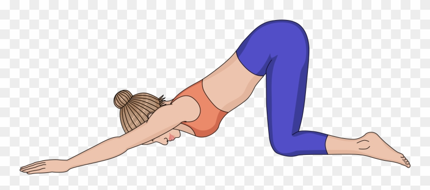 Exercise Clipart Flexibility Exercise - Dibujos De Mujeres En Posicion De Perrito - Png Download