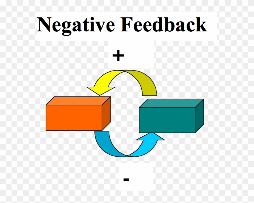 File - Negativefeedback - Positive And Negative Feedback System Clipart
