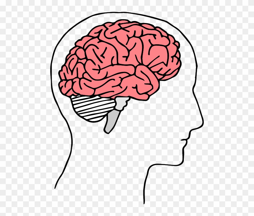 #aqa #sociology Unit 1 And Unit 2 Revision And Exam Clipart