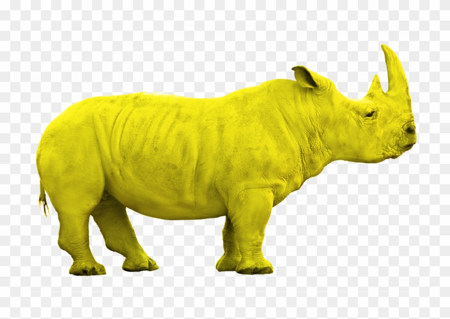 1200 X 796 2 - Indian Rhinoceros Clipart
