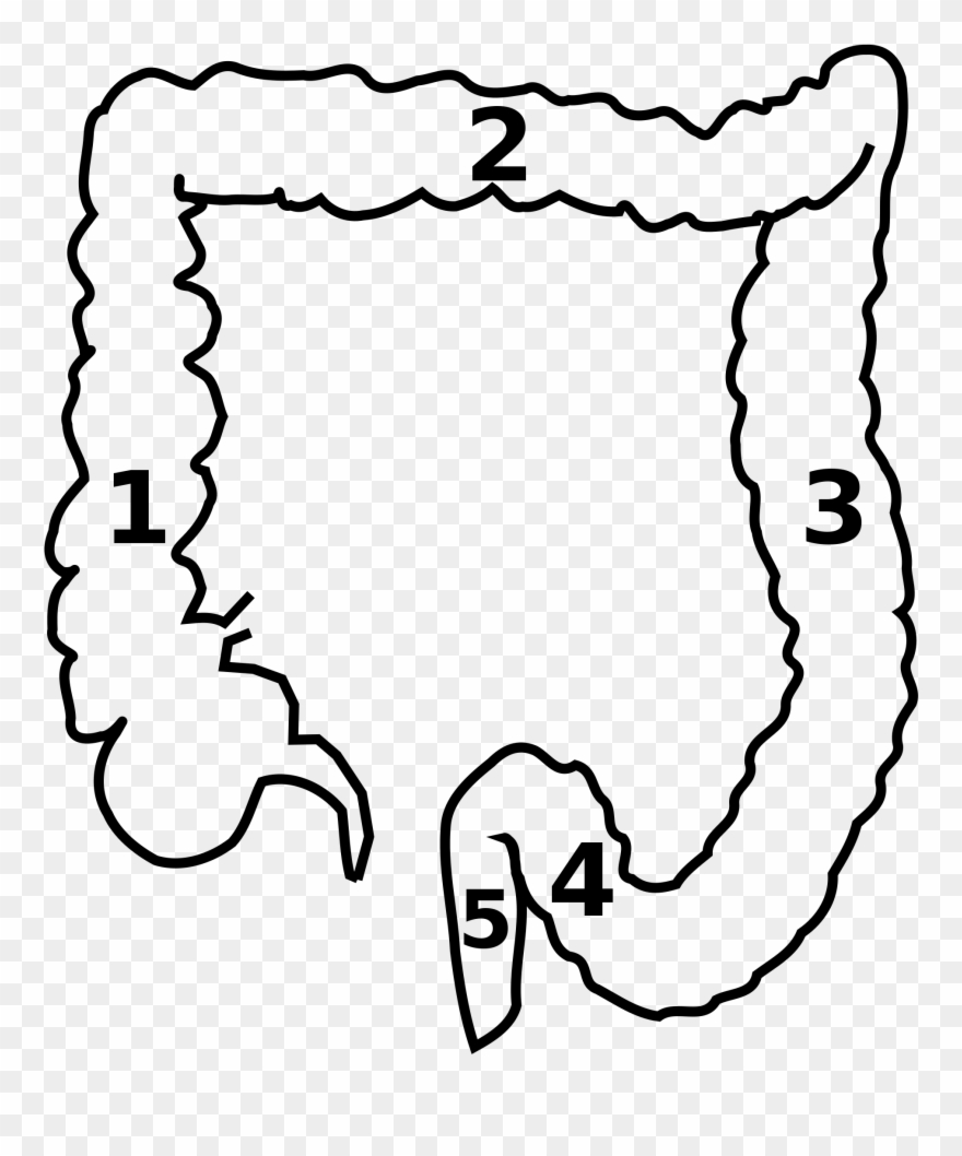 Open - Colon Black And White Clipart