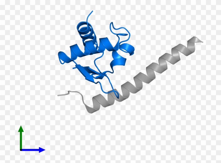 <div Class='caption-body'>pdb Entry 3htu Contains 1 - Graphic Design Clipart