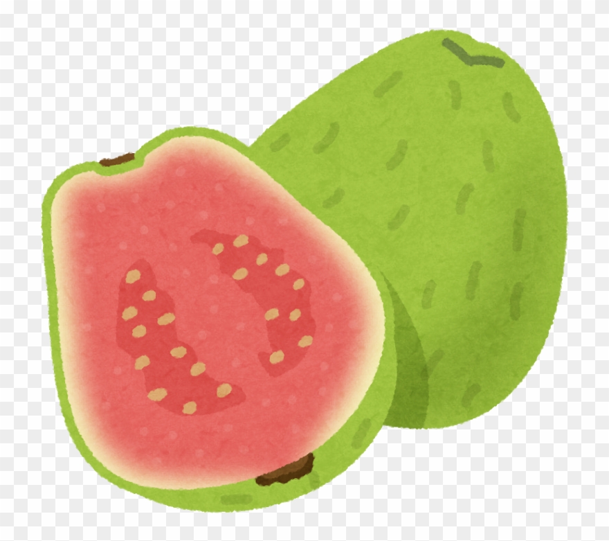 Guava Fruit Clip Art - グァバ イラスト 無料 - Png Download