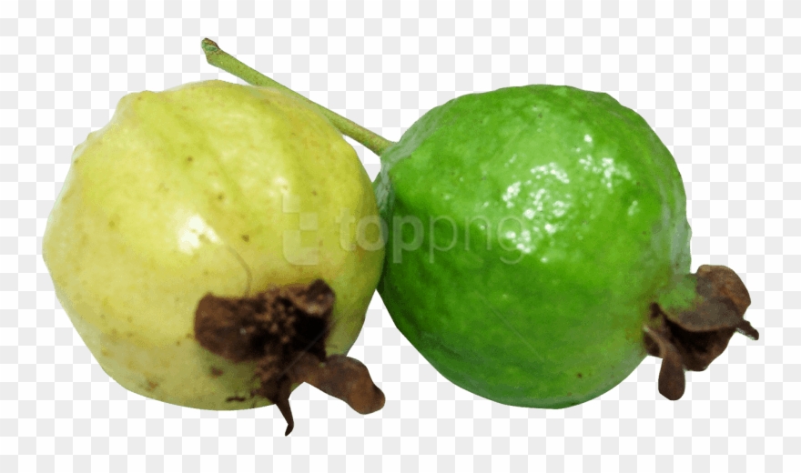 Free Png Guava Png Images Transparent - Guavas Png Clipart