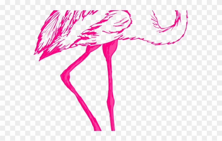 Flamingo Clipart Float - Transparent Background Flamingo Bird Png