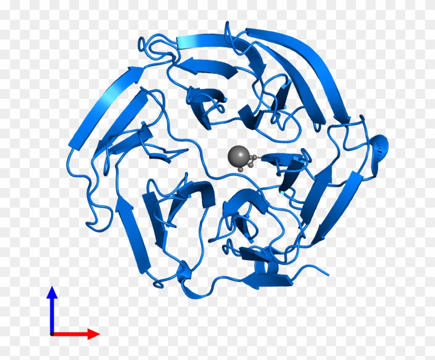 <div Class='caption-body'>pdb Entry 5d9b Contains 1 - Graphic Design Clipart