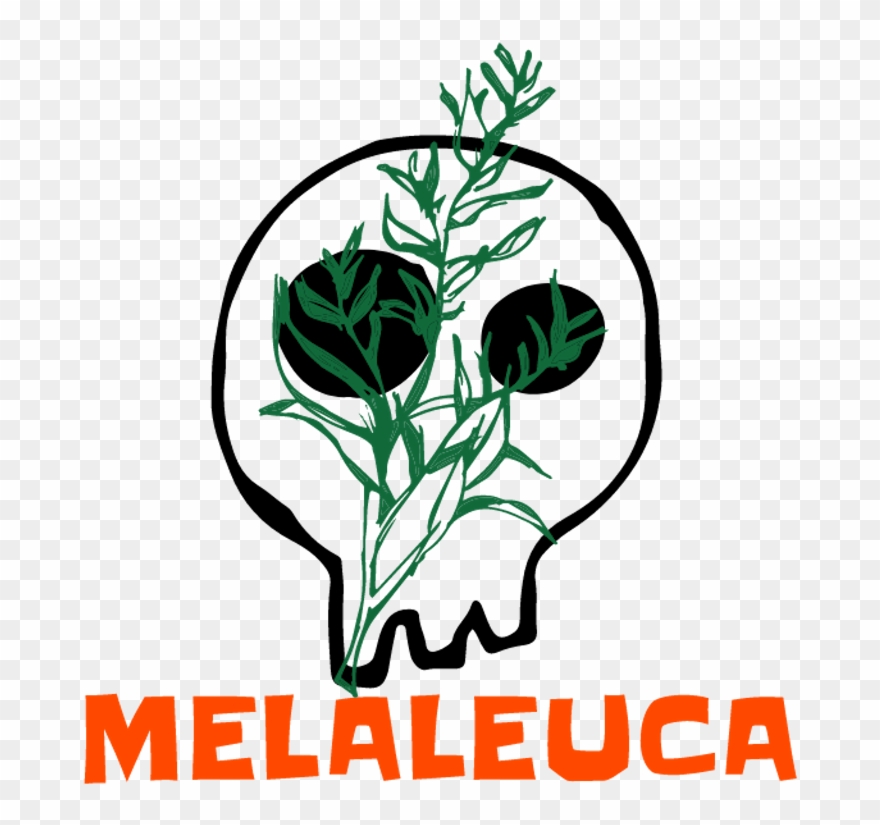 Web - Illustration Clipart