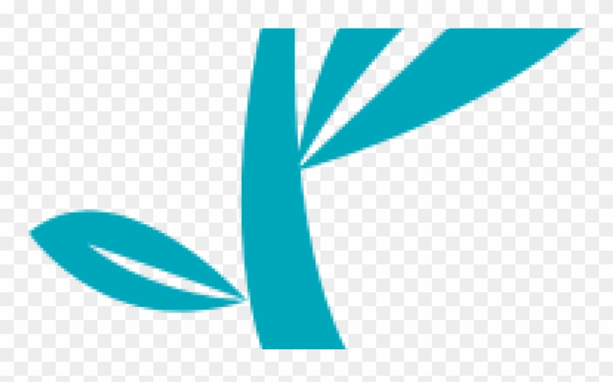 New Venture Seed Fund Clipart