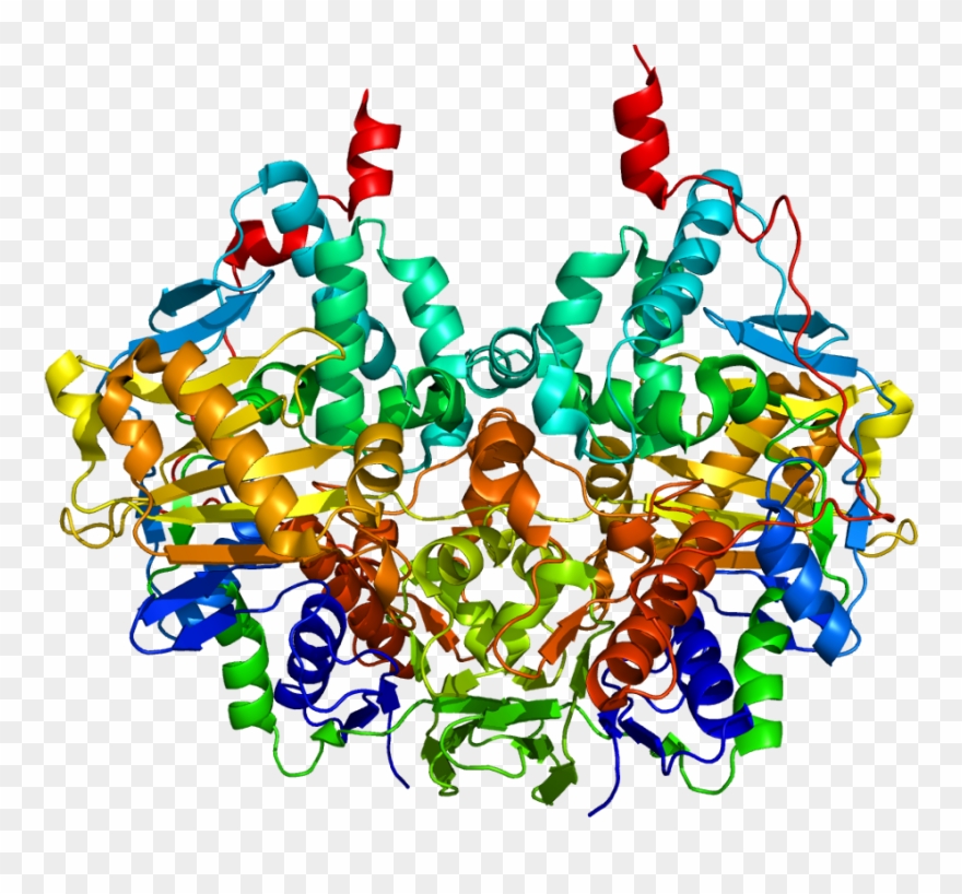 Monoamine Oxidase B Structure Clipart