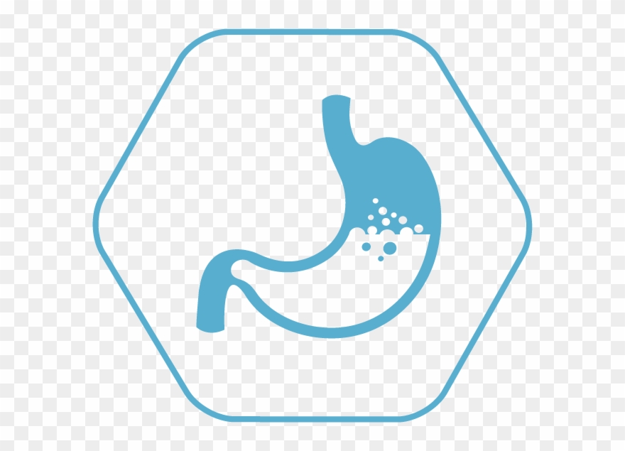 Let's "break It Down" - Digestion Clipart