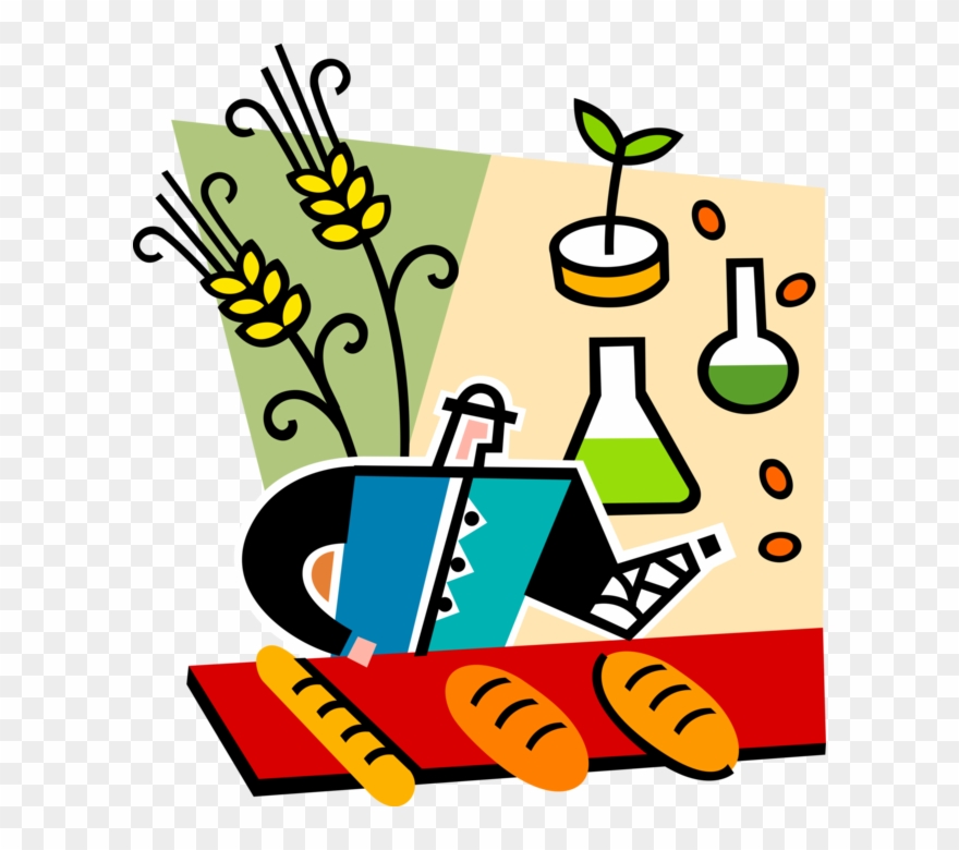 Botanist Creates Wheat Varieties Vector Image Illustration Clipart