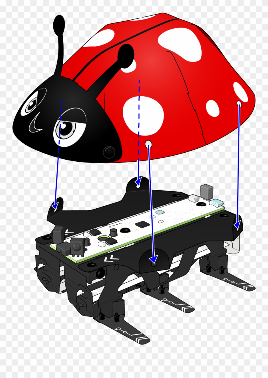 Attach Top Of Shell To Body By Riveting In Place As - Ladybug Clipart