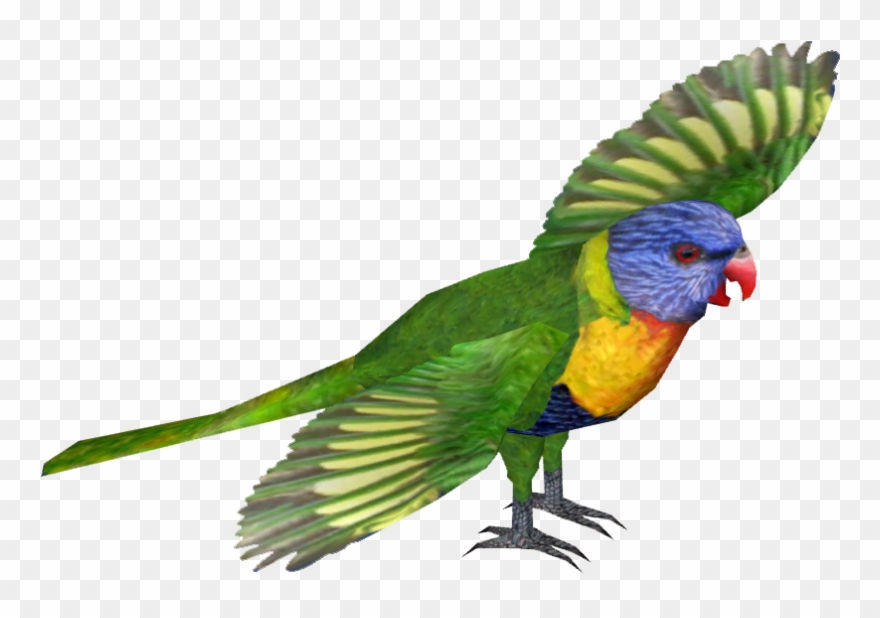 Category Gaby-raptora Zt2 Library Wiki Fandom - Rainbow Lorikeet Image Png Clipart