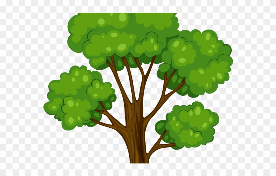 Papaya Clipart Papaya Leaf - Tree Cartoon Vector Png Transparent Png
