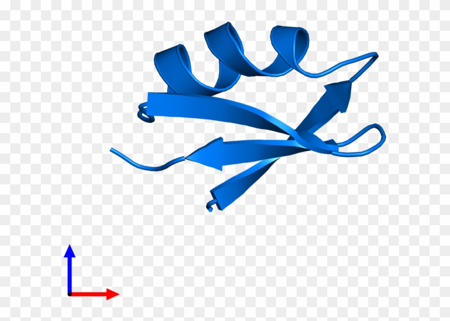 <div Class='caption-body'>pdb Entry 1agt Contains 1 - Graphic Design Clipart