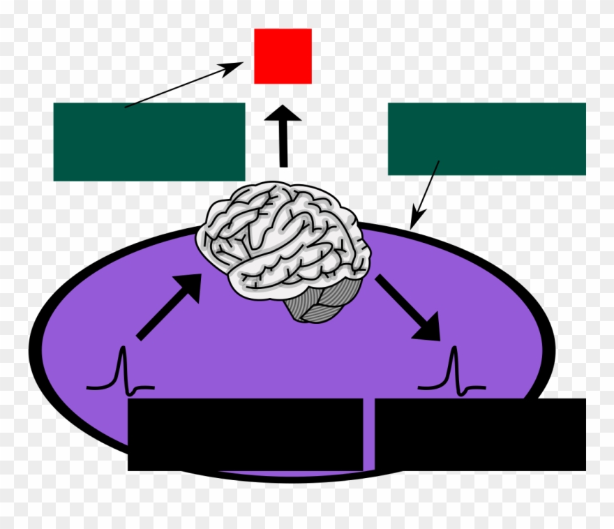 Consciousness Phenomenal-functional - Hard Problem Of Consciousness Clipart
