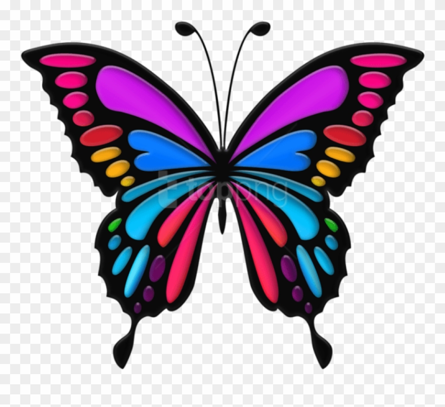 Free Png Download Colorful Butterfly Clipart Png Photo - Colorful Butterfly Transparent Png