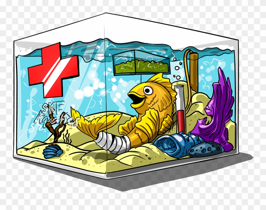 Out Fish Or Any Aquatic Animal Ownership Clipart